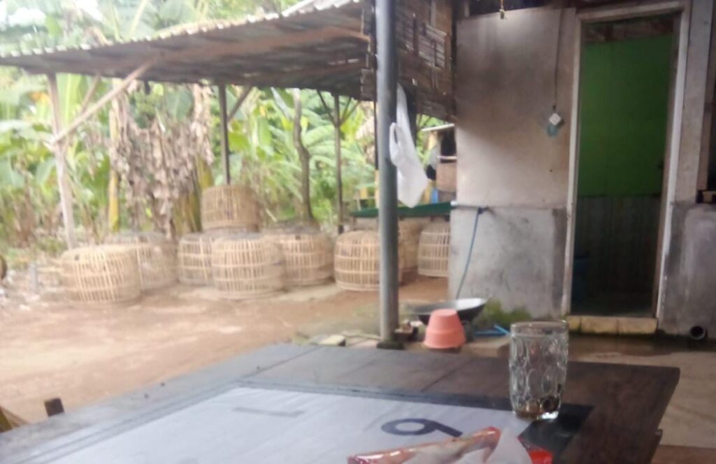 Judi Sabung Ayam di Watulimo, Trenggalek: Antara Abaian Hukum dan Ancaman Sosial