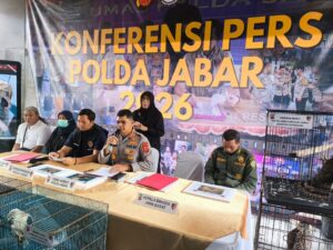 Polda Jabar Ungkap Kasus Pemeliharaan 14 Burung Elang Dilindungi di Indramayu